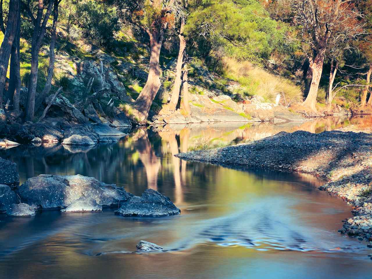 Nuggetty Creek, Crudine