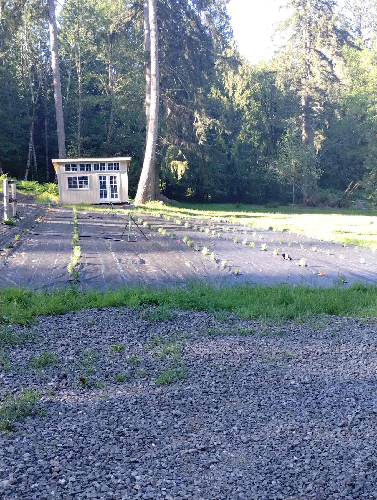 Glencove pasture and forest trails