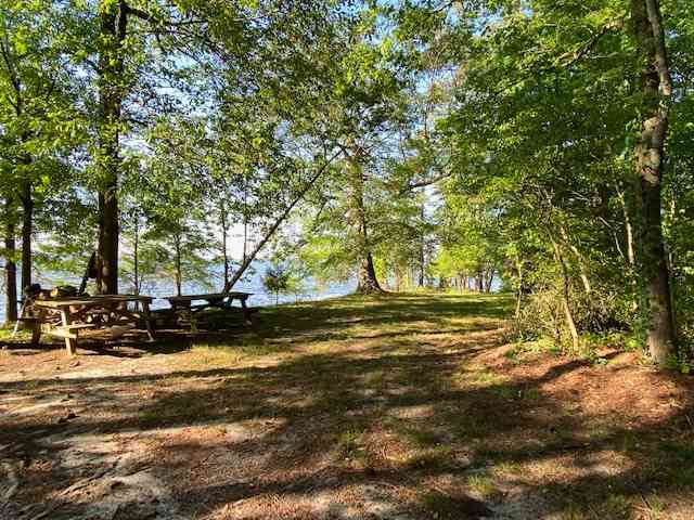 Note: one picnic table has been removed (moved to Campsite #2)