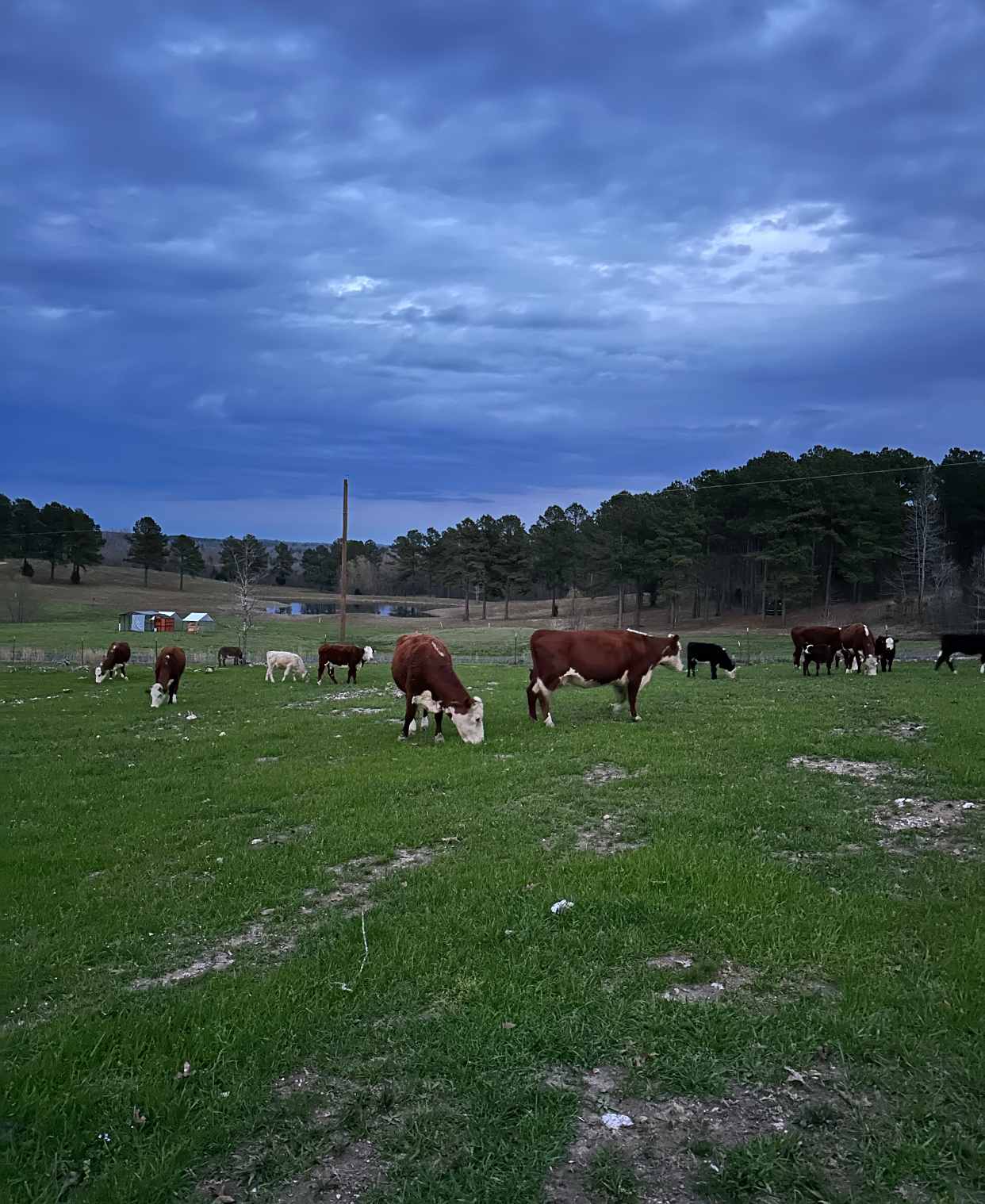 Cedar Creek Farms Eclipse Camping