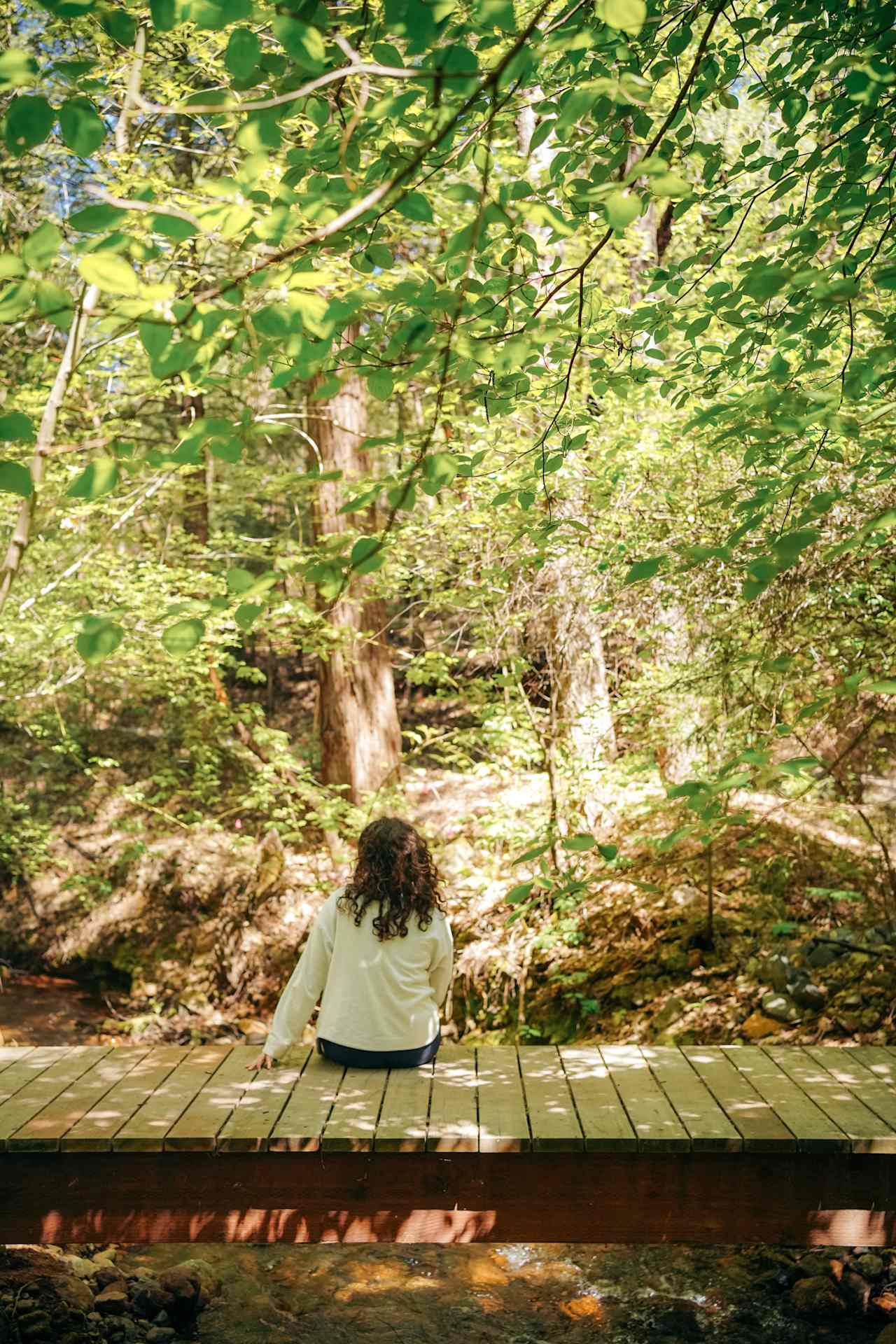 Private Yurts - Nevada City