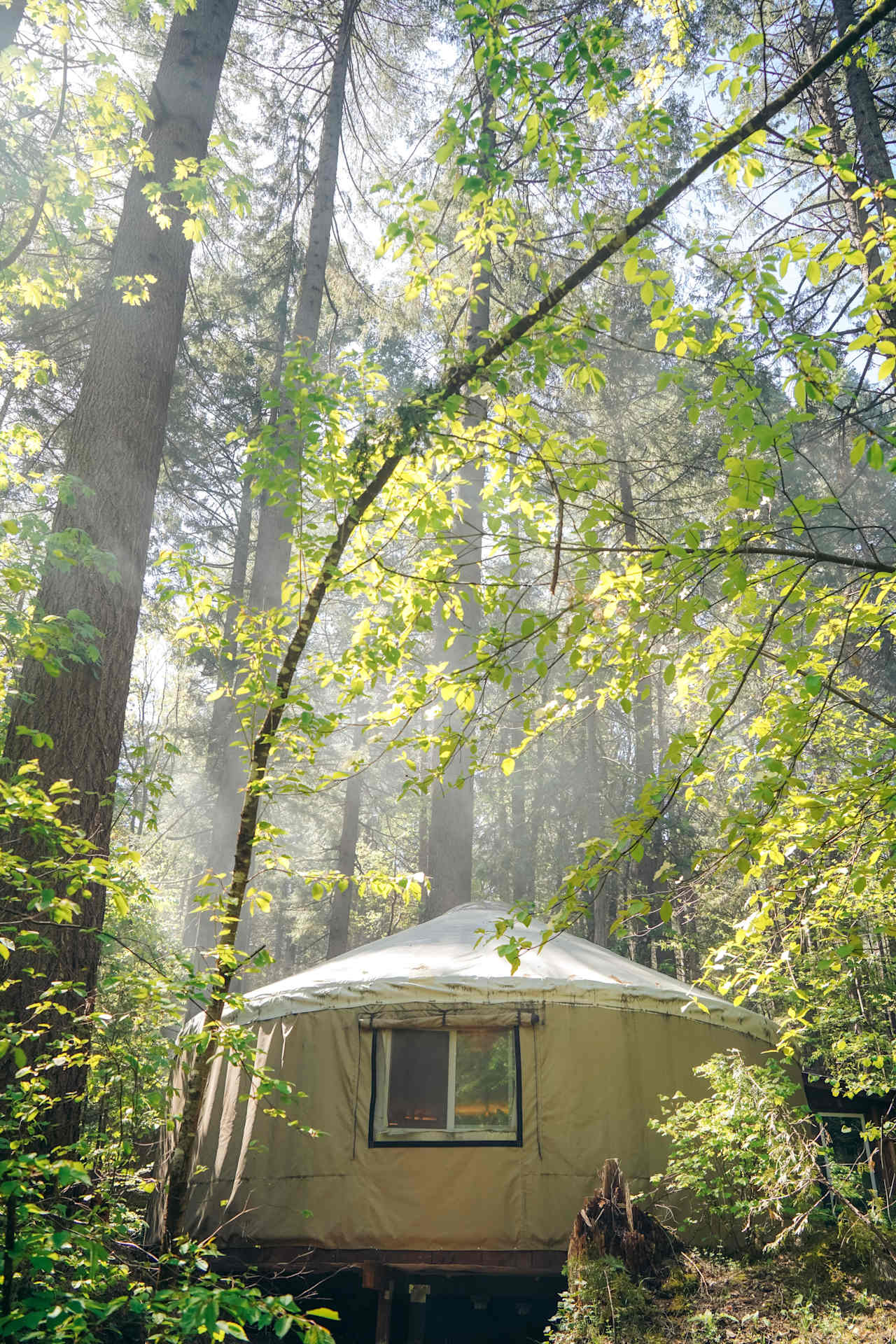 Private Yurts - Nevada City