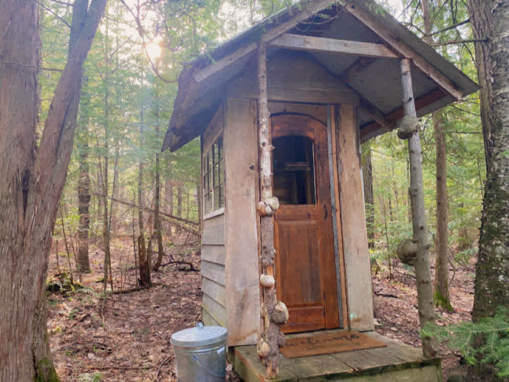 Bear Tree Homestead