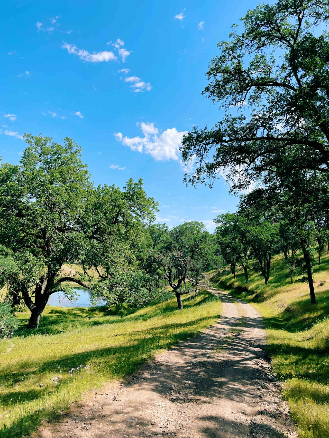 Cosumnes River Ranch