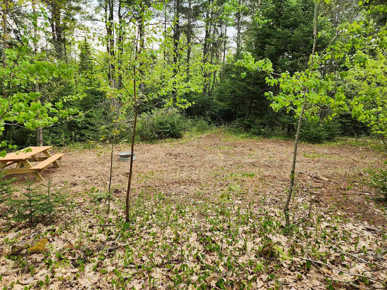 15 Mile Stream Primitive Campground