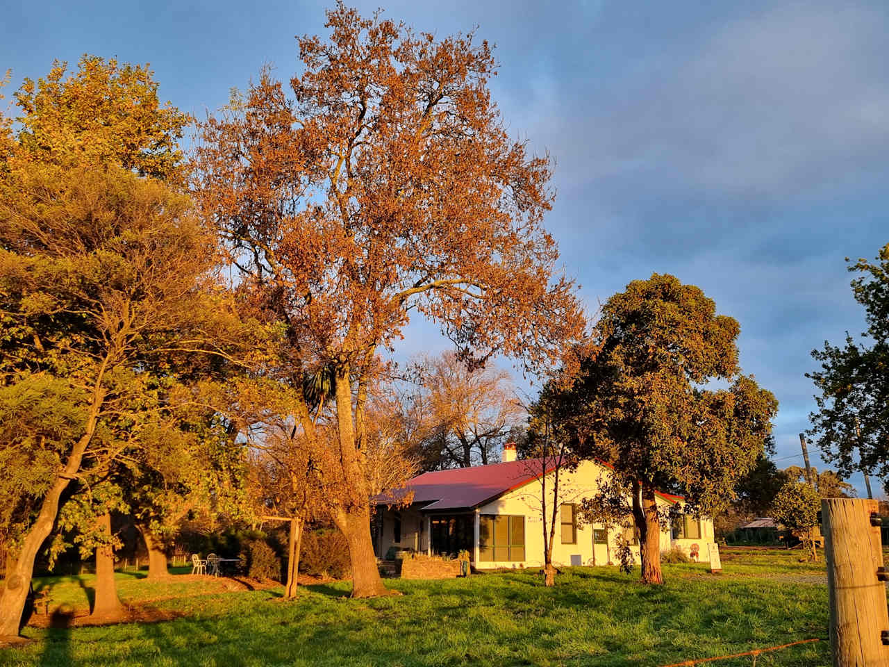 Iron Pot Bay Vineyard