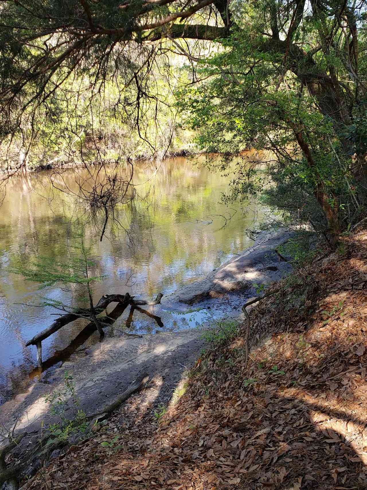 Little sandbar when the river is low