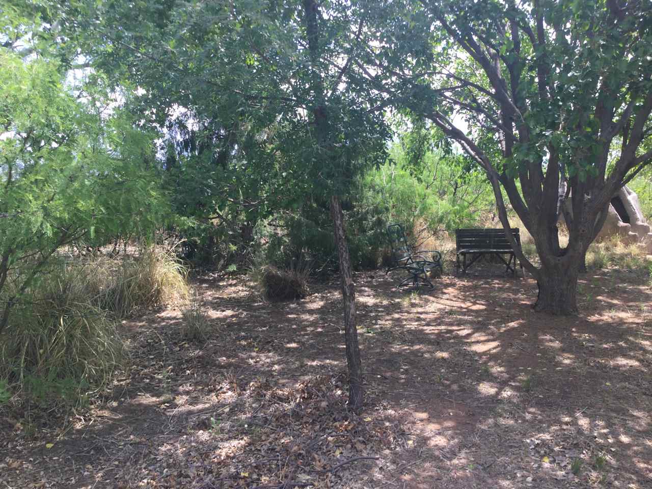 One of the campsites under the trees.