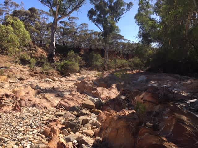 Burra Creek Camping