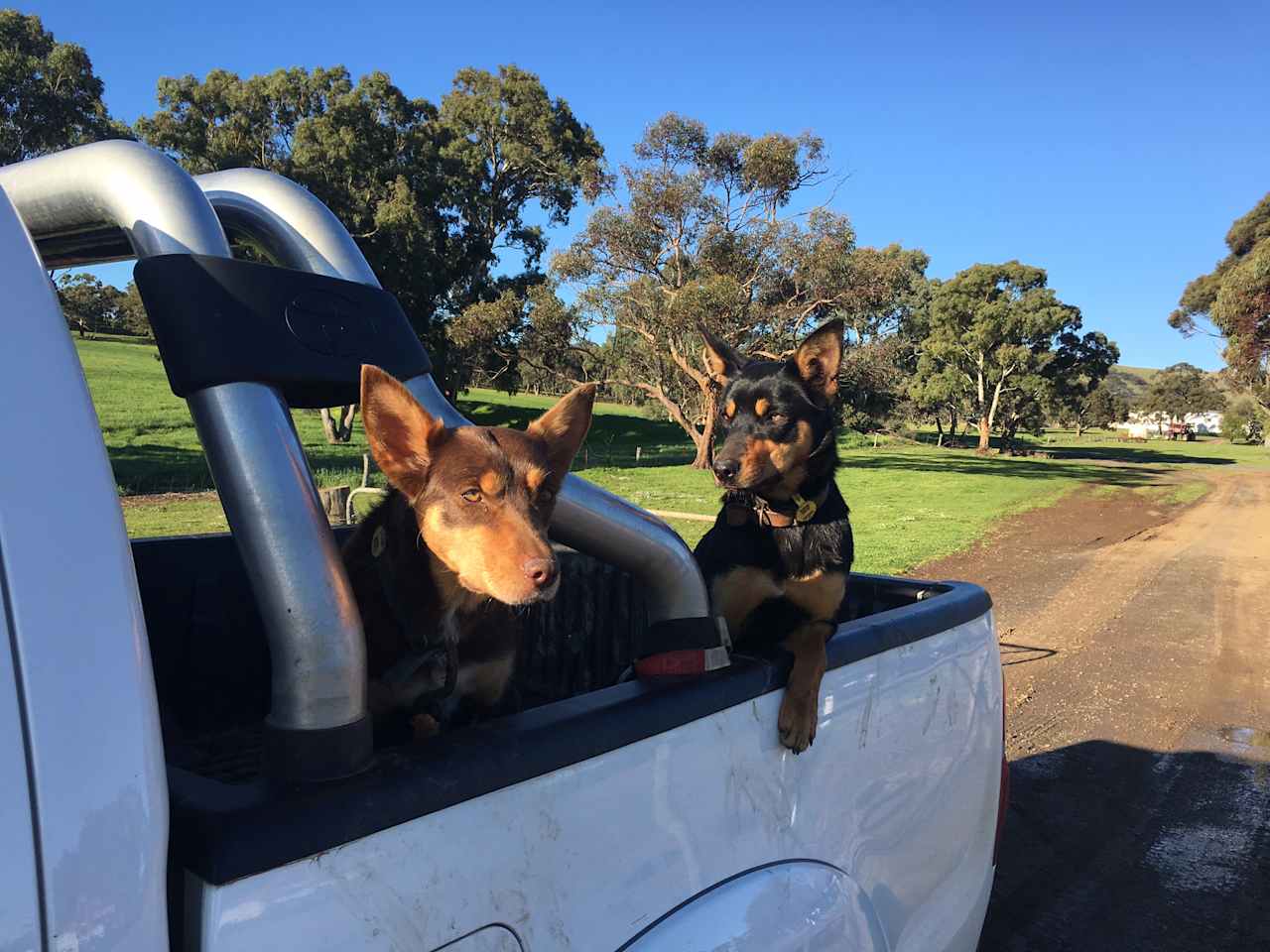 Burra Creek Camping