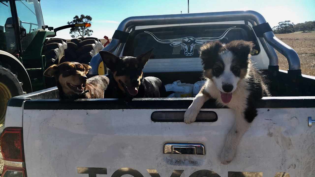 Burra Creek Camping