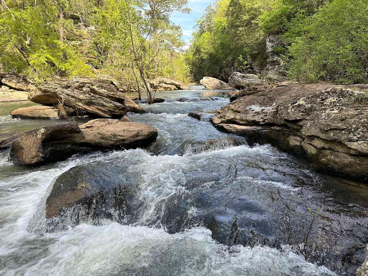 Walk to nearby Talladega Creek