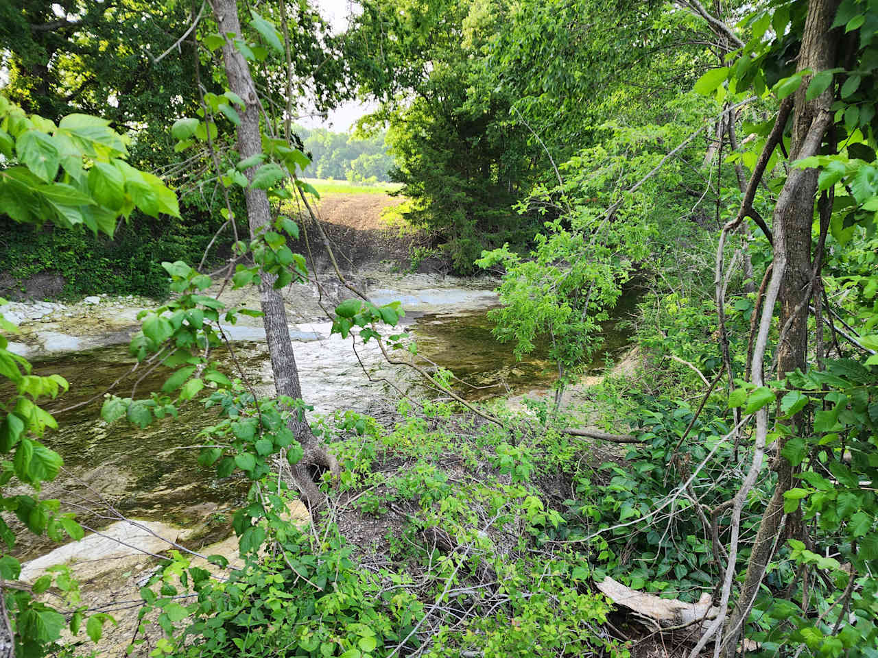 The PARK at Brushy Creek