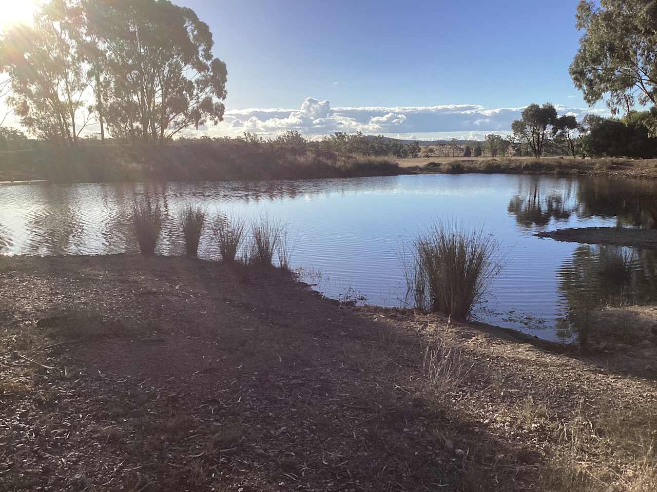 Cattle yards dam.