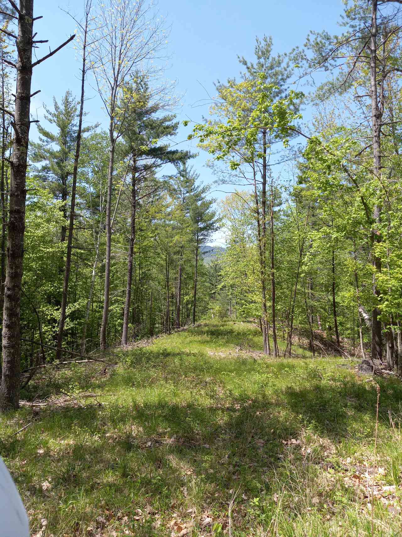 Cozy Meadow Camp Area