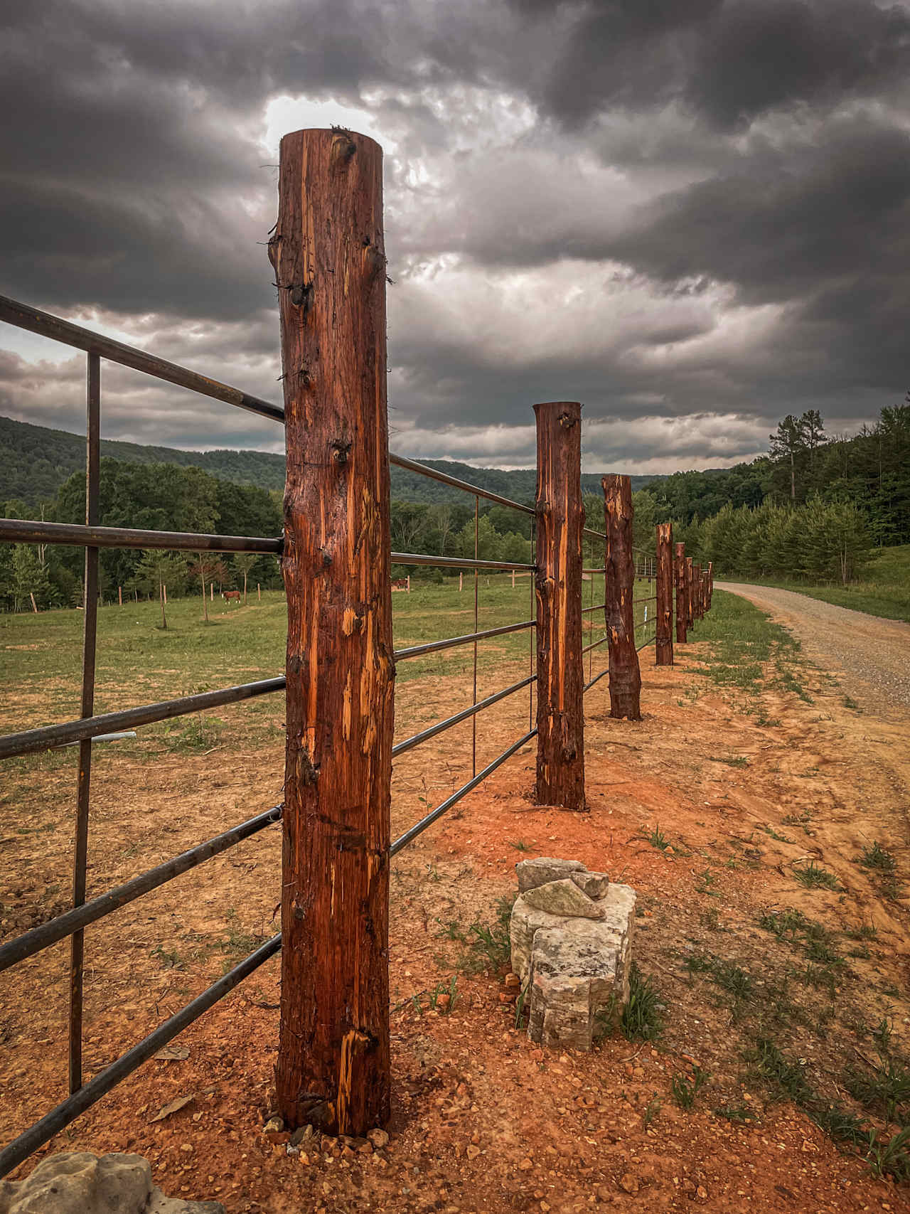 Knotty Oaks Ranch