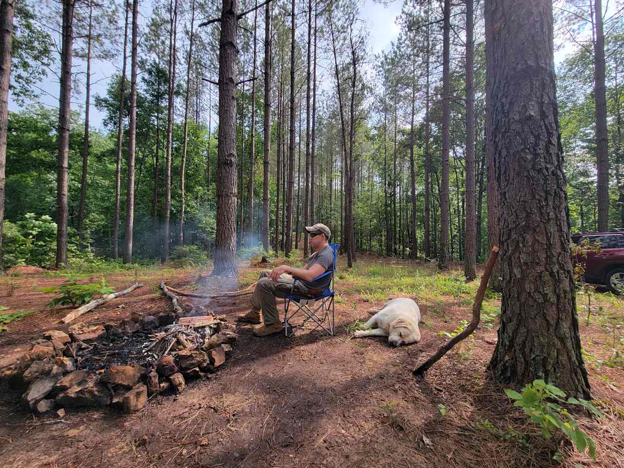 The Forest Retreat