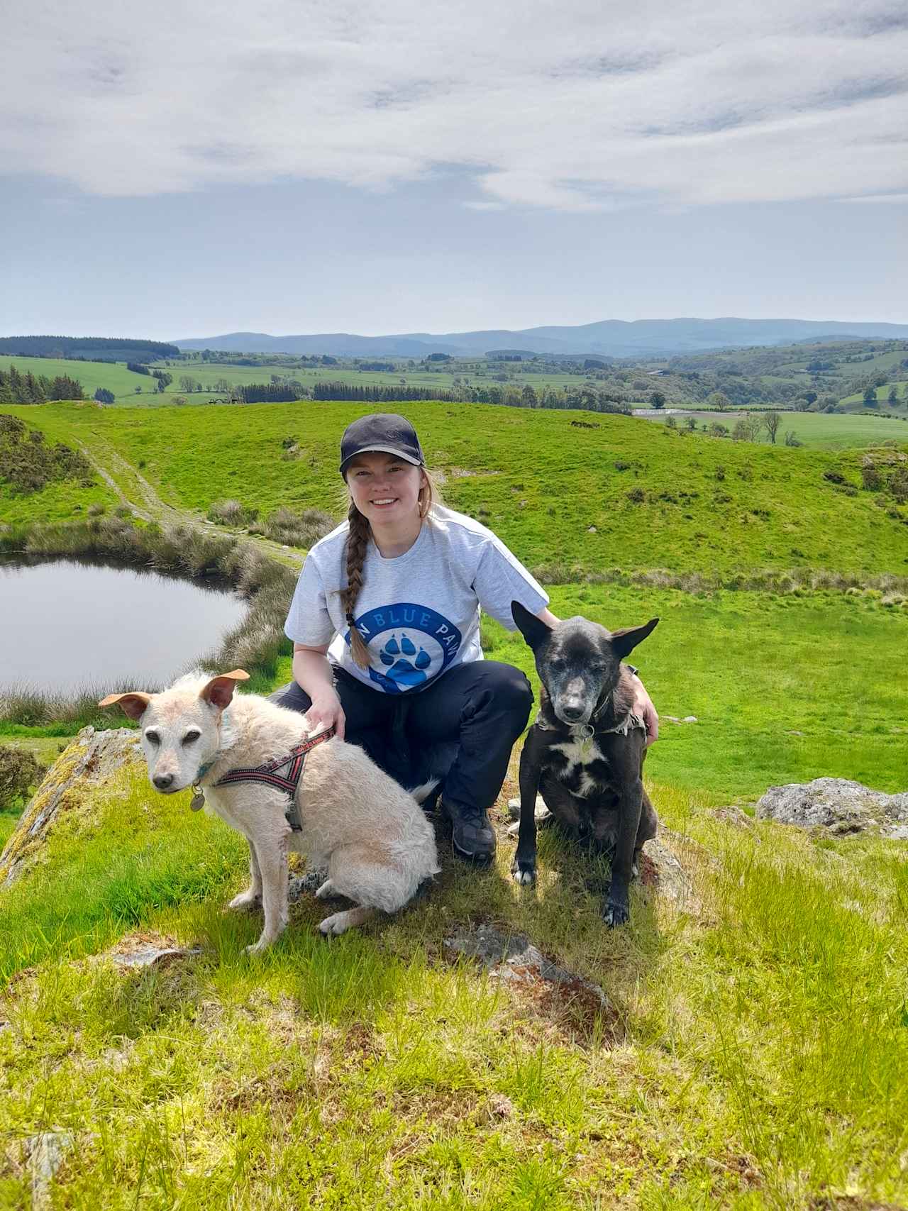 Mynydd Derwydd Wildcamping