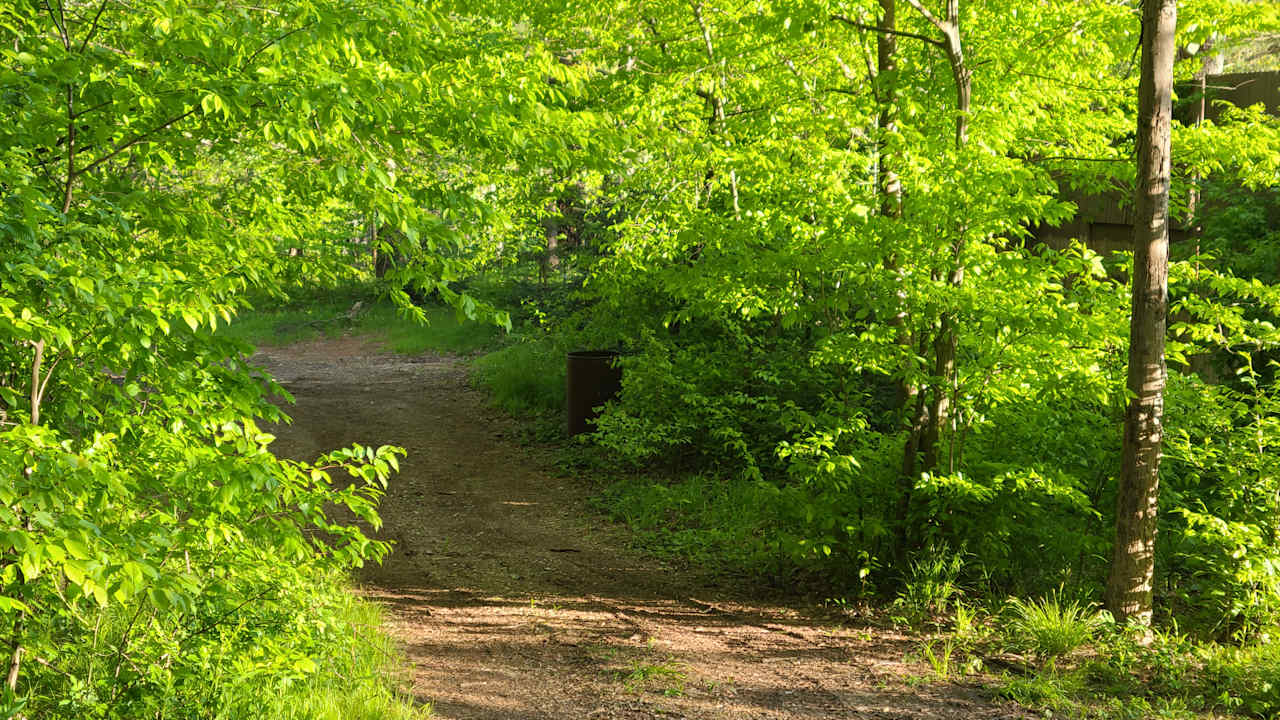 trail in to site