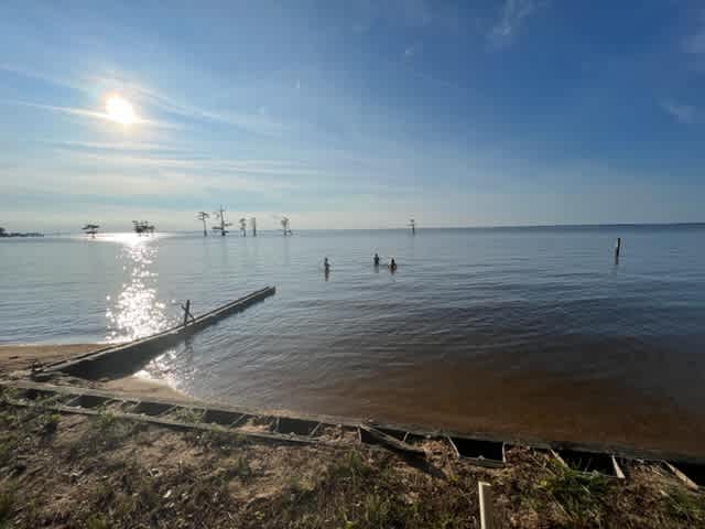 This is looking at the Albemarle Sound from Campsite #1.