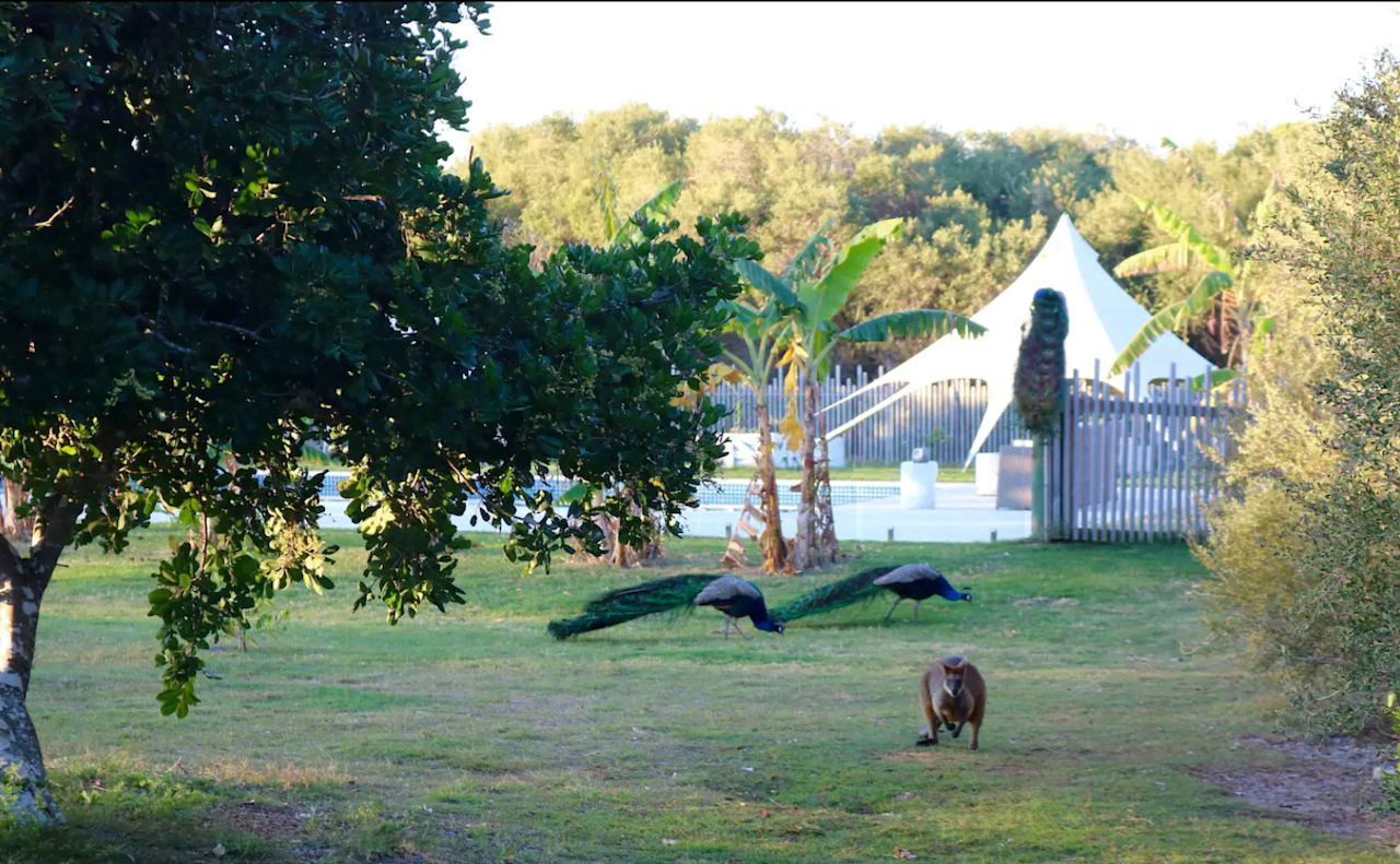 Sugar Beach Ranch - Horse Holidays