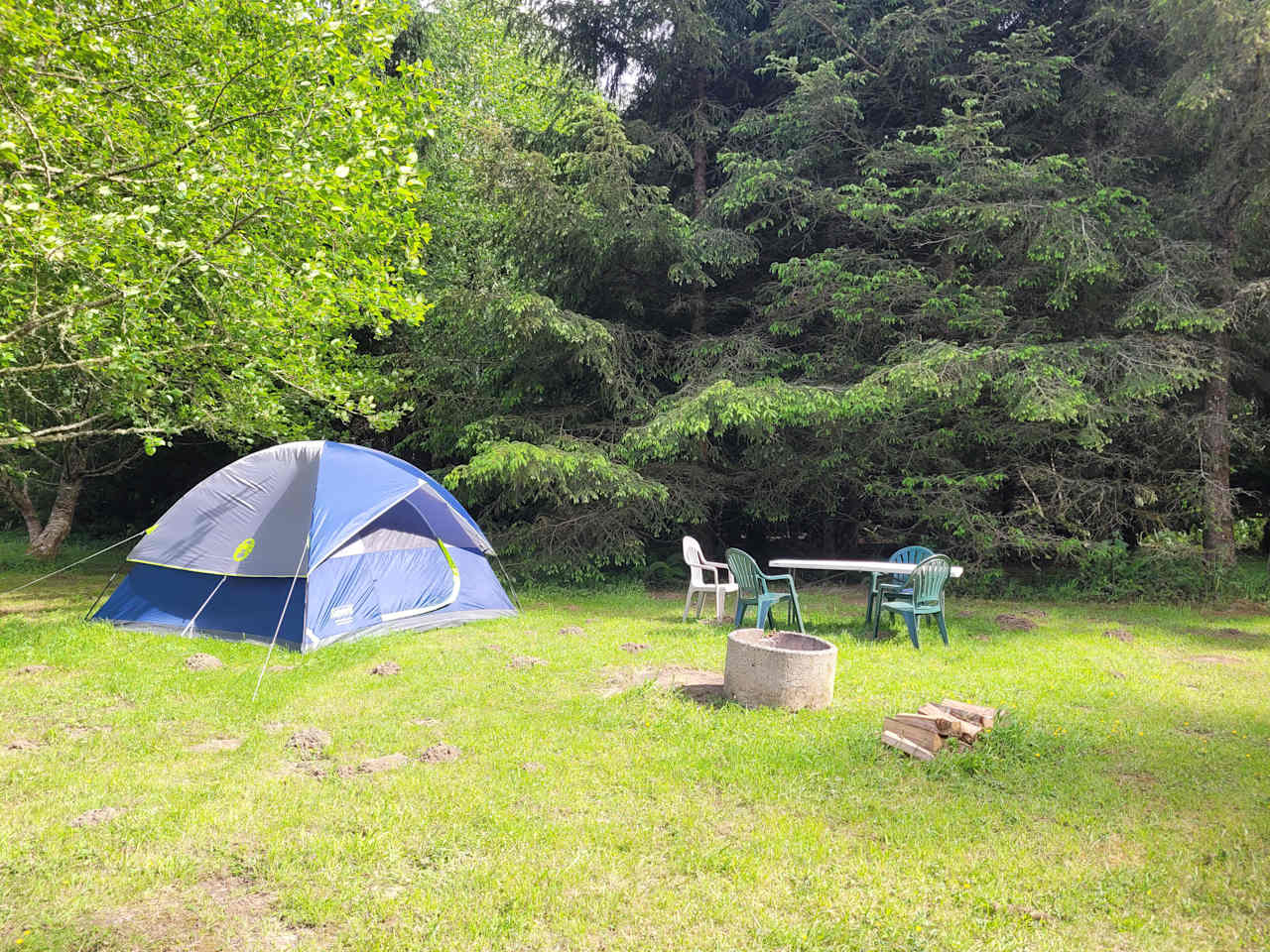 The tent is permanent, as are the casual chairs and the old feed trough (c. 1914) fire pit. Fire wood is free. This site is located at the edge of a forest, with a trail going to the interior. Southern end of meadow, site faces north. 