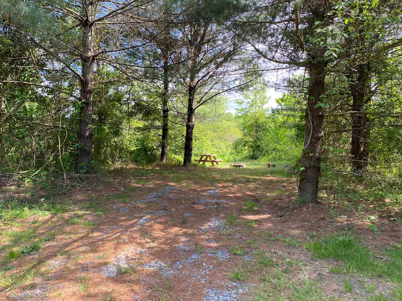 Pisgah Riverbend