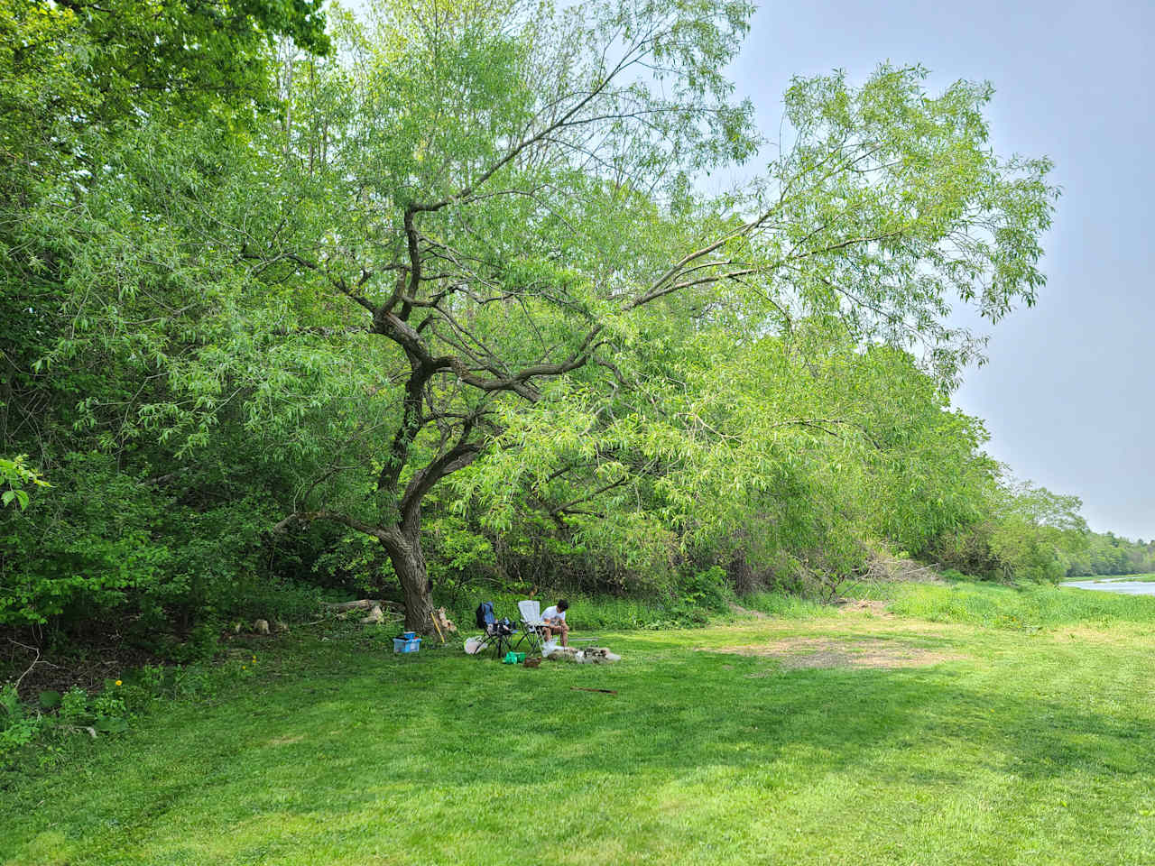 Monarch Meadows Tree Farm