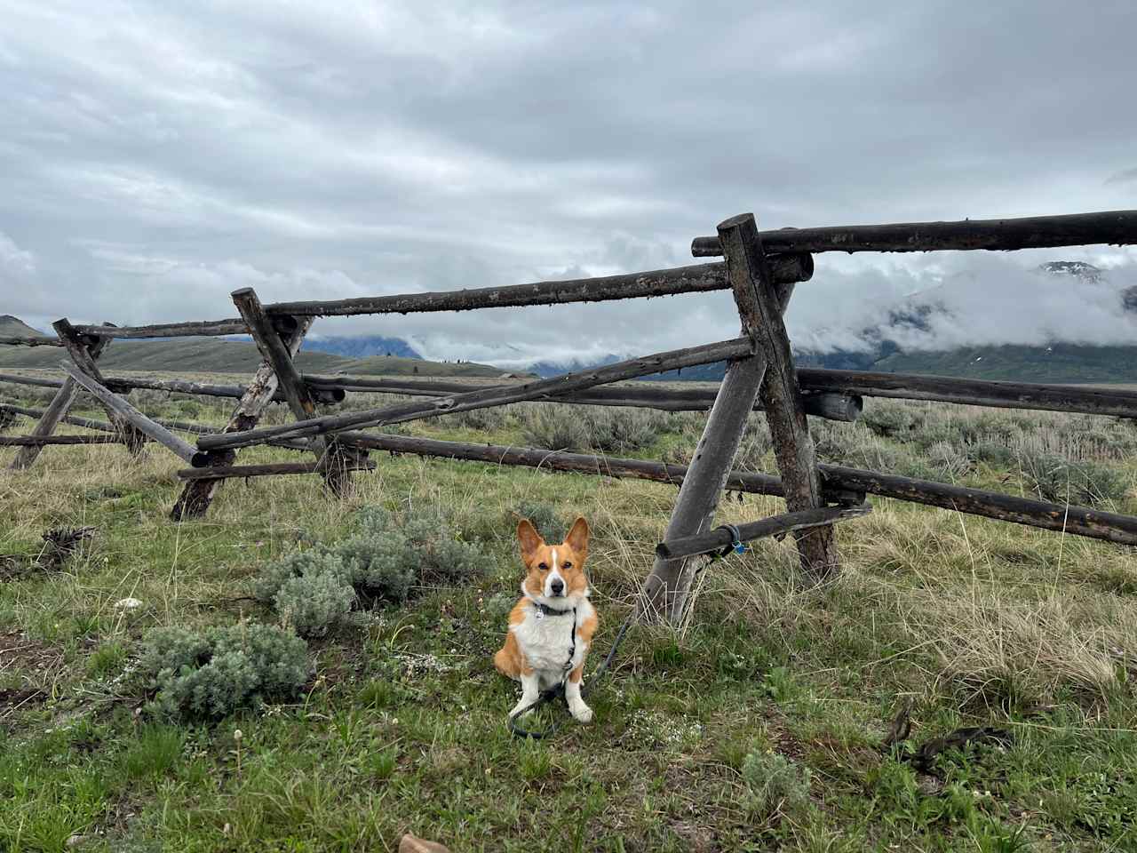 Yellowstone's Home-Base Hookups