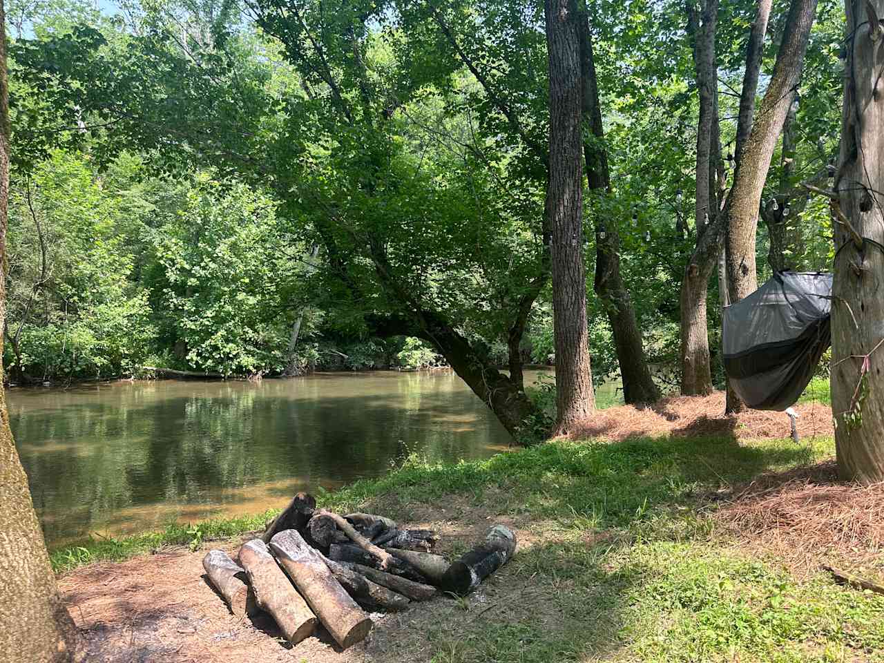 Firefly on Big Cedar