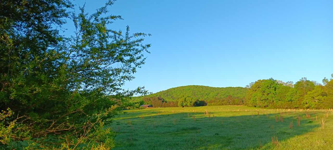 Cottaquilla Creek Campground