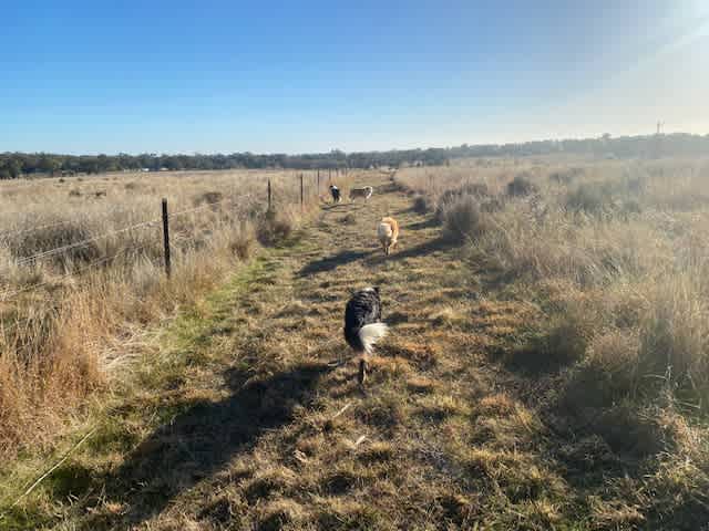 KANGAROO CREEK CAMP DUBBO