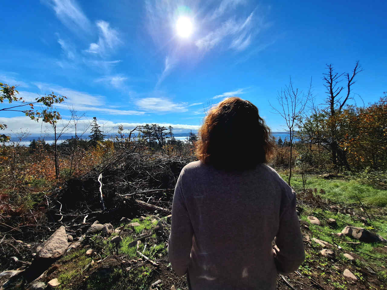 The view from "Tom's Lookout", part way up the mountain path. 