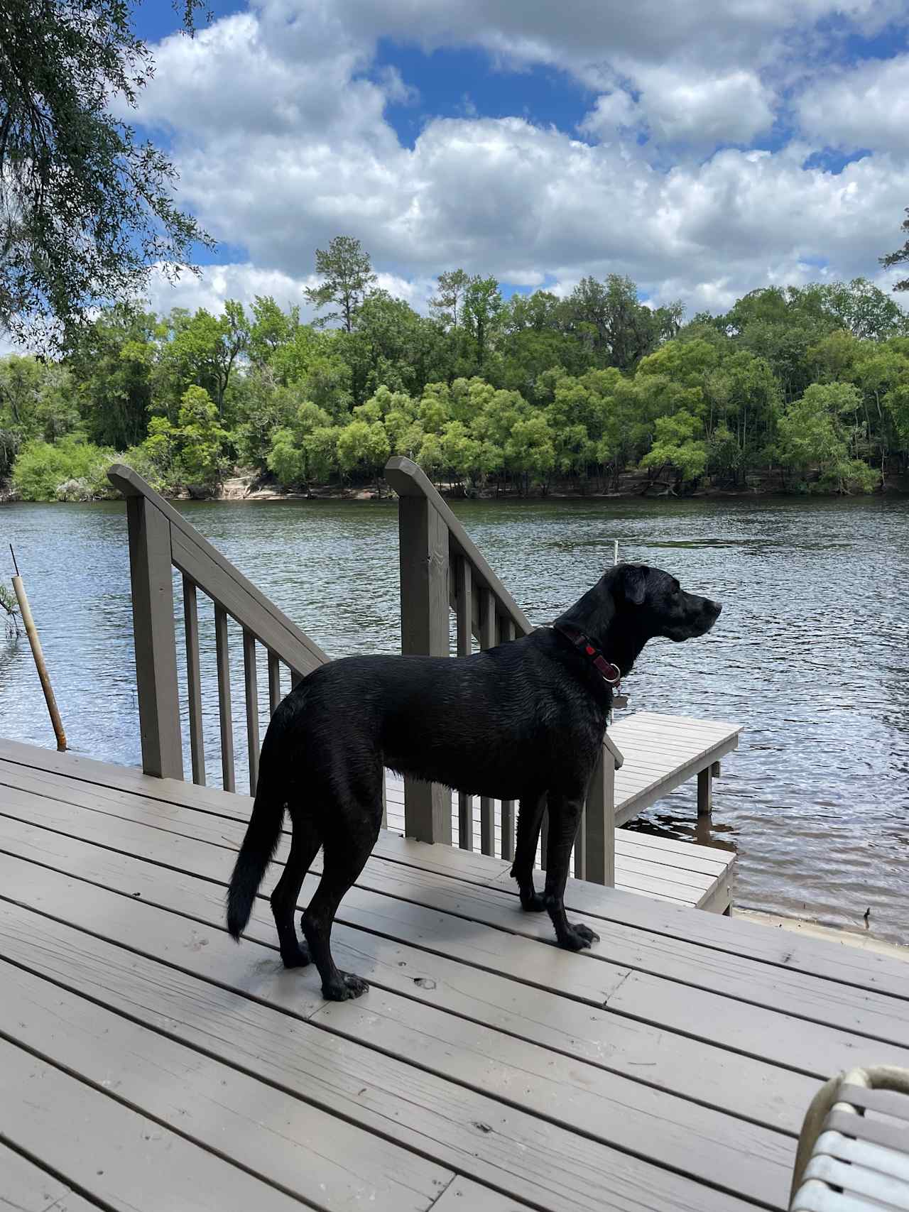 Suwannee River Green Acres