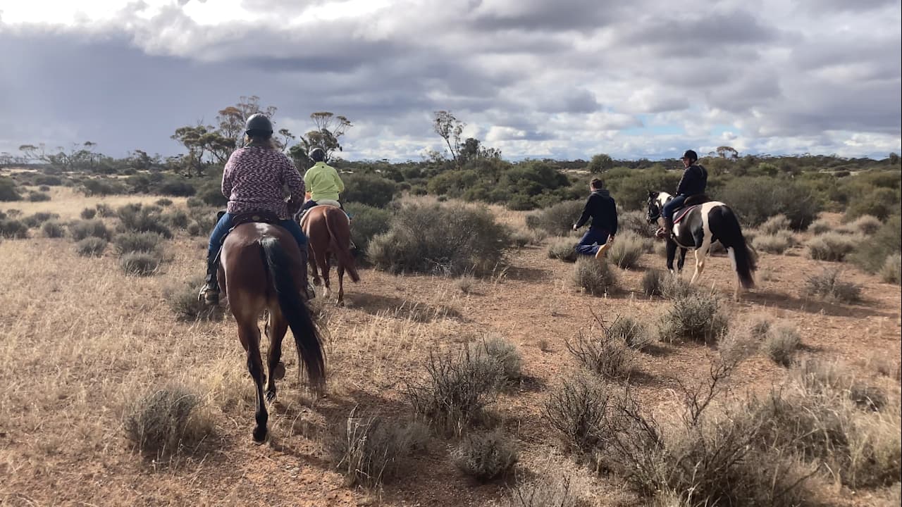 Stockyard Plains, The Riverland