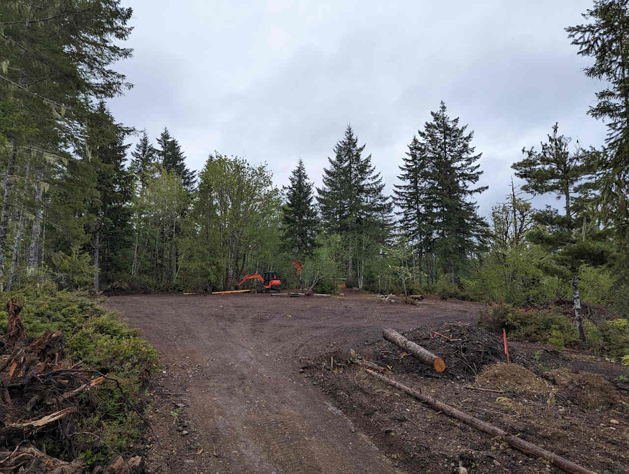 Example of weather on cloudy with a bit of standard WA rain.  Standing very far back from the main upper clearing, a NNE view. Camp anywhere you like here. Maintain a path from the driveway to the outhouse at the minimum for trail access. 