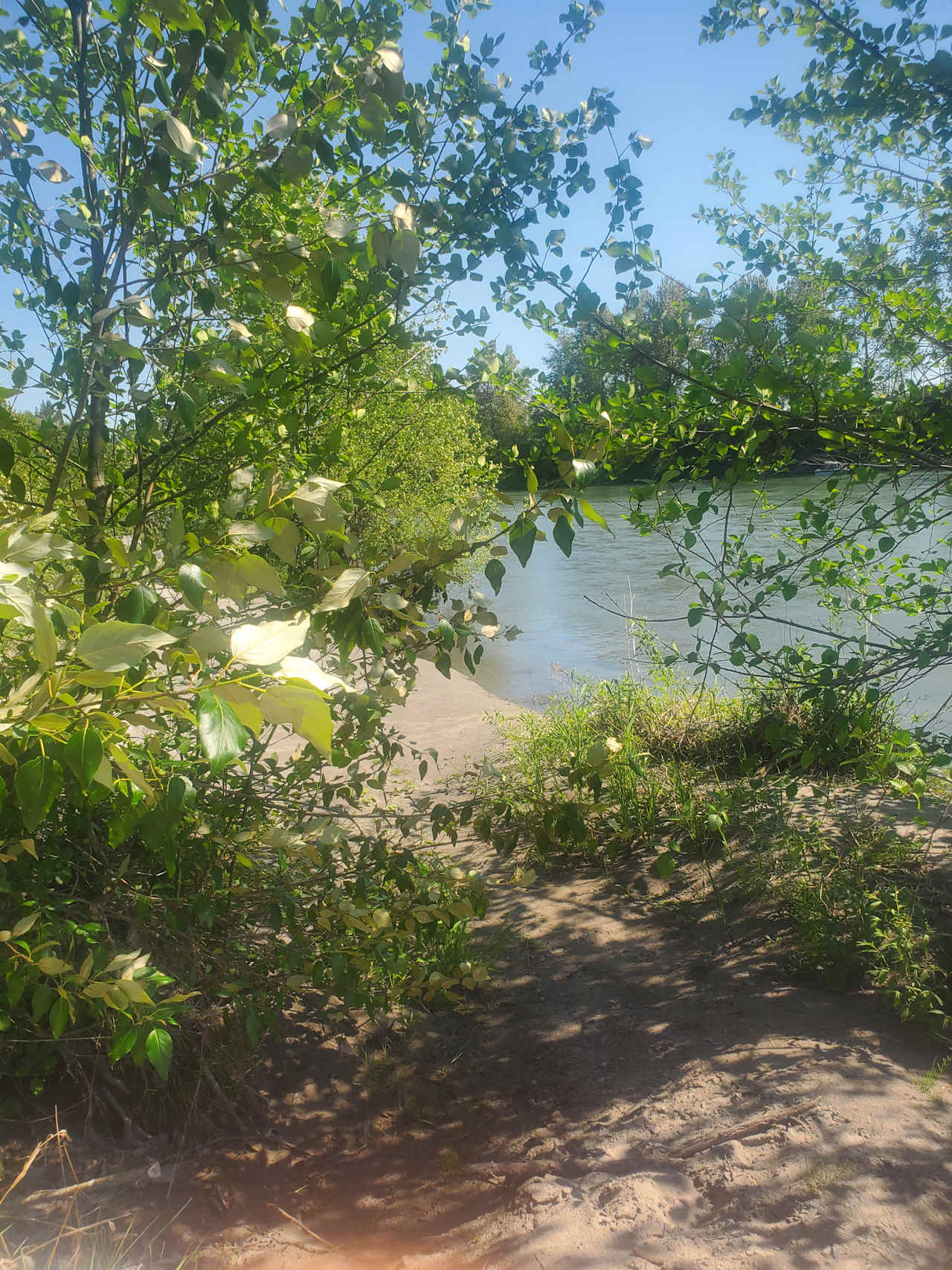 Cowlitz River Sandy Edge Campground