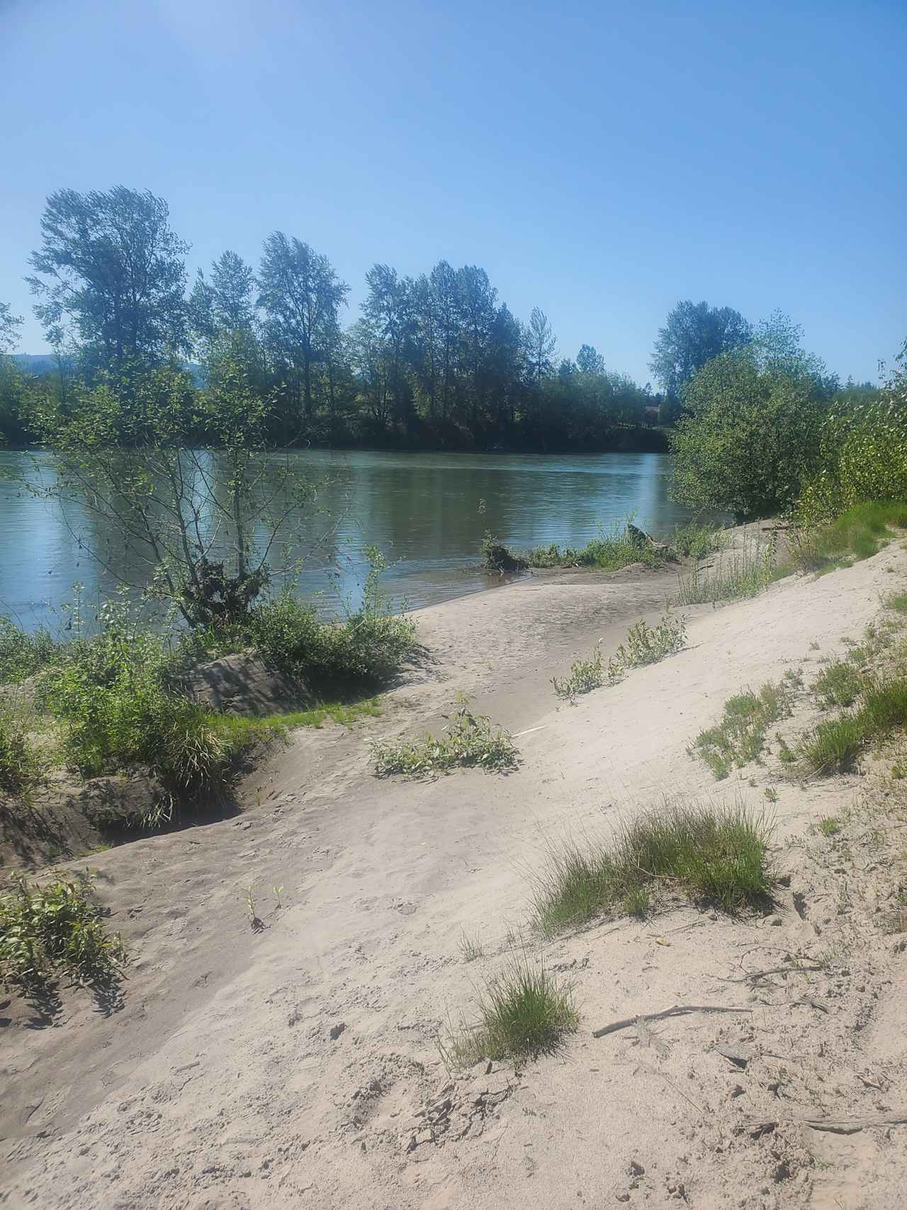 Cowlitz River Sandy Edge Campground