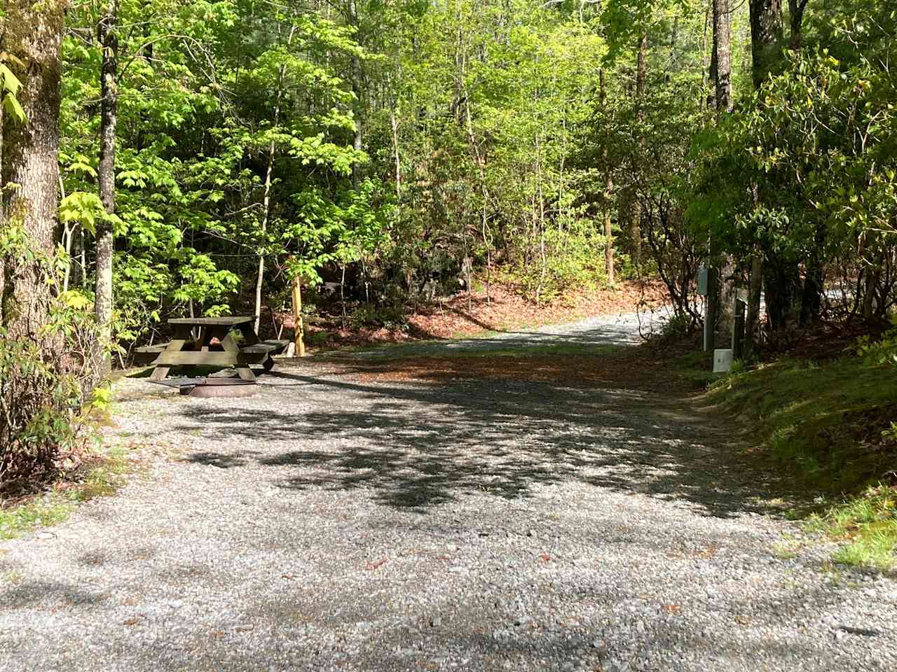Ash Grove Cabins and Camping