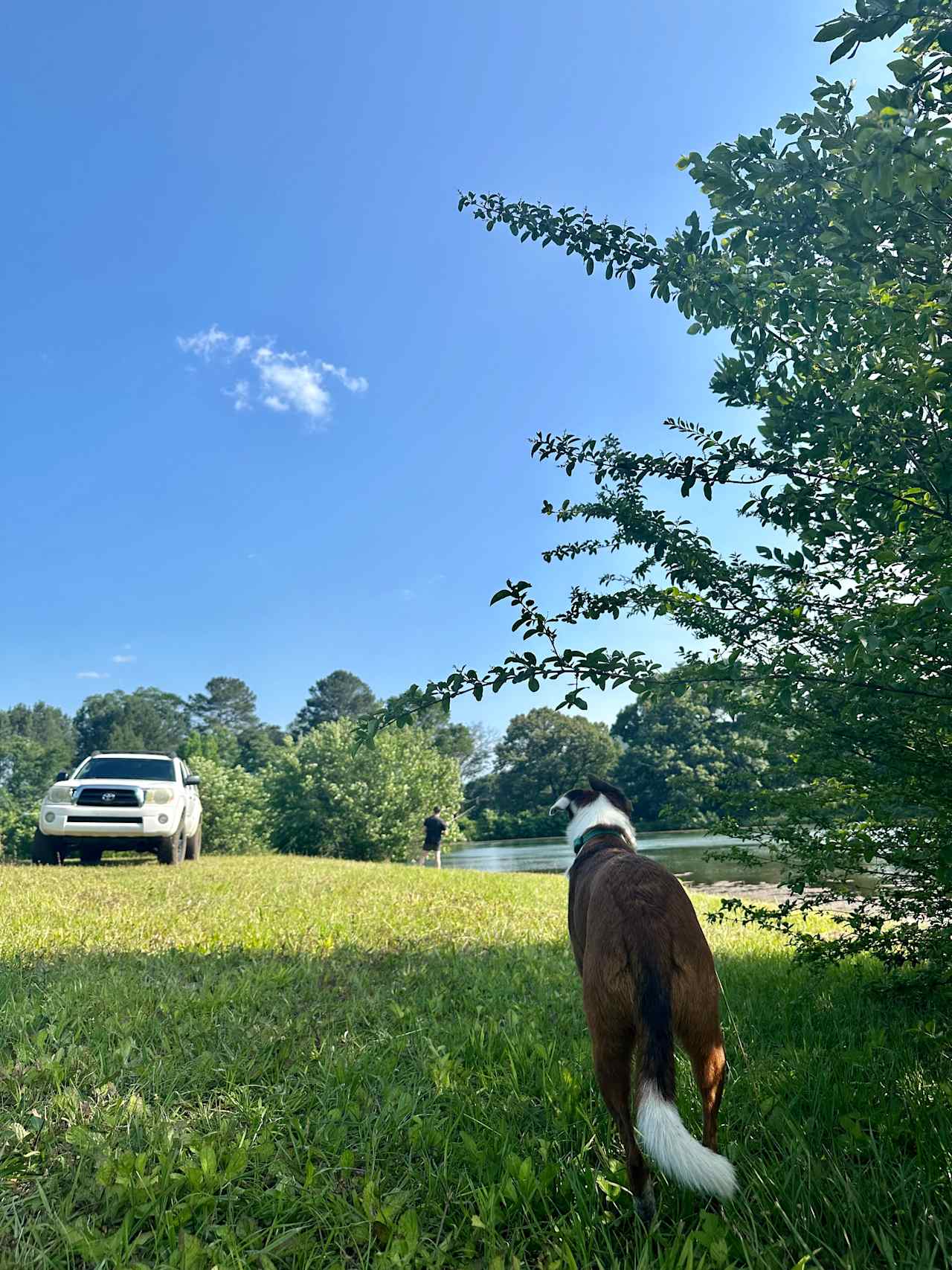 Cottaquilla Creek Campground