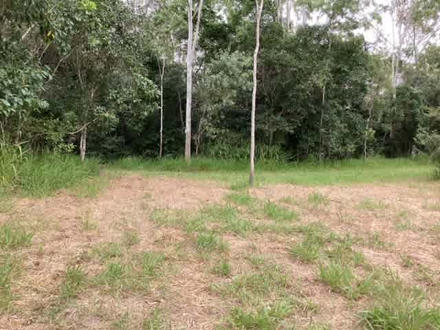 Site 3 beside creek 