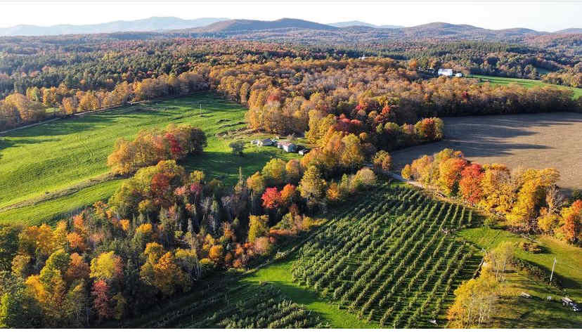 Peck Farm Orchard Pond