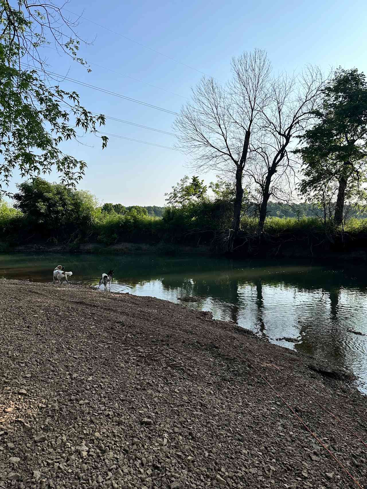 Buehler Farms Glamp site 1