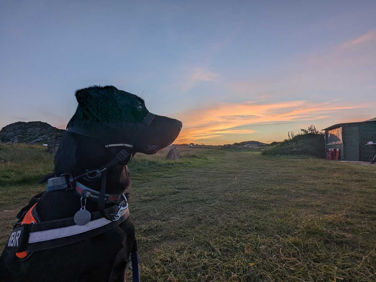 Hillfort Camping