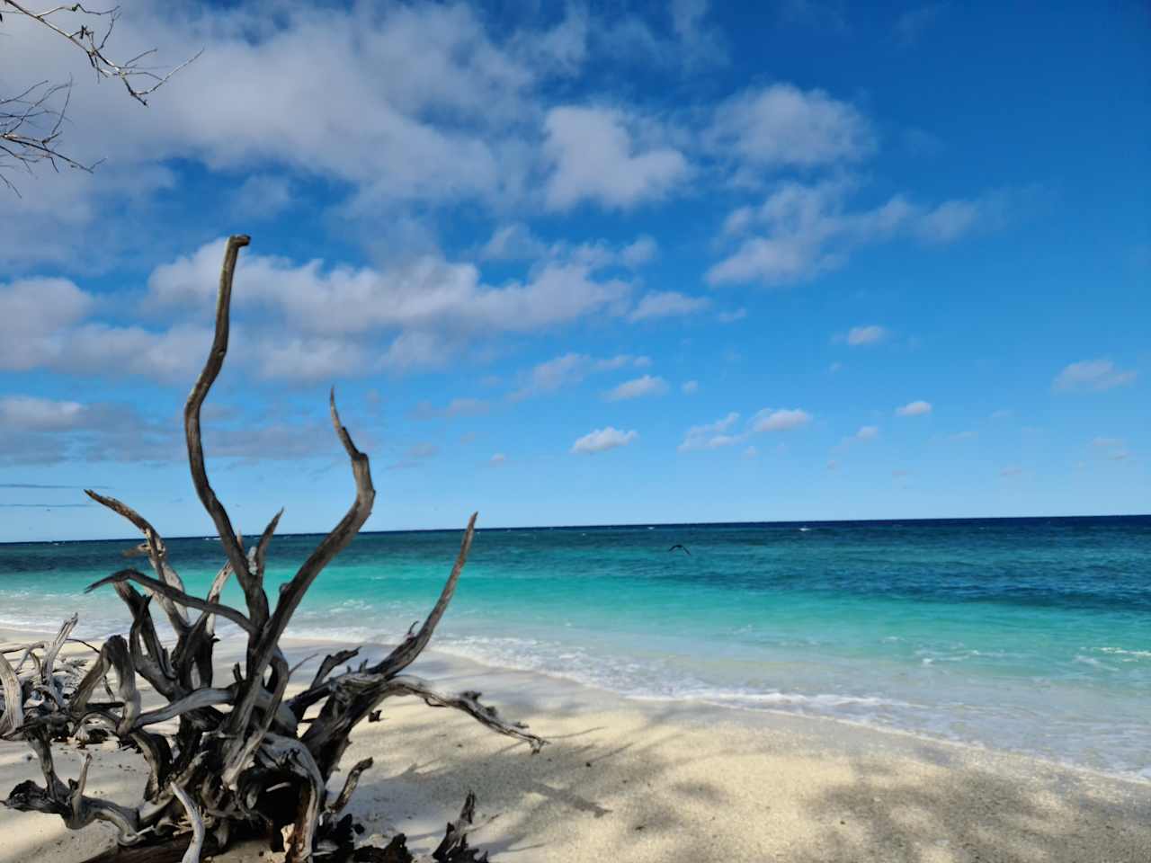 A 2hr boat ride from 1770 is beautiful Lady Musgrave Island. Check out Creek to Reef a local charter boat run by Tony and Sandy. They offer snorkel and Island tours. 