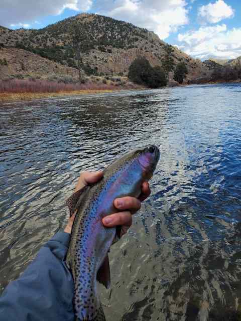 the first catch of the year!