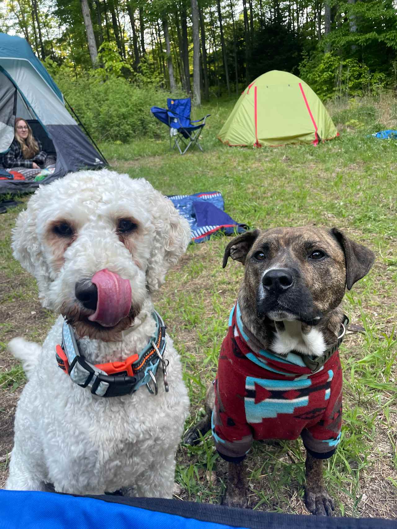 Echo Valley Forest Camp