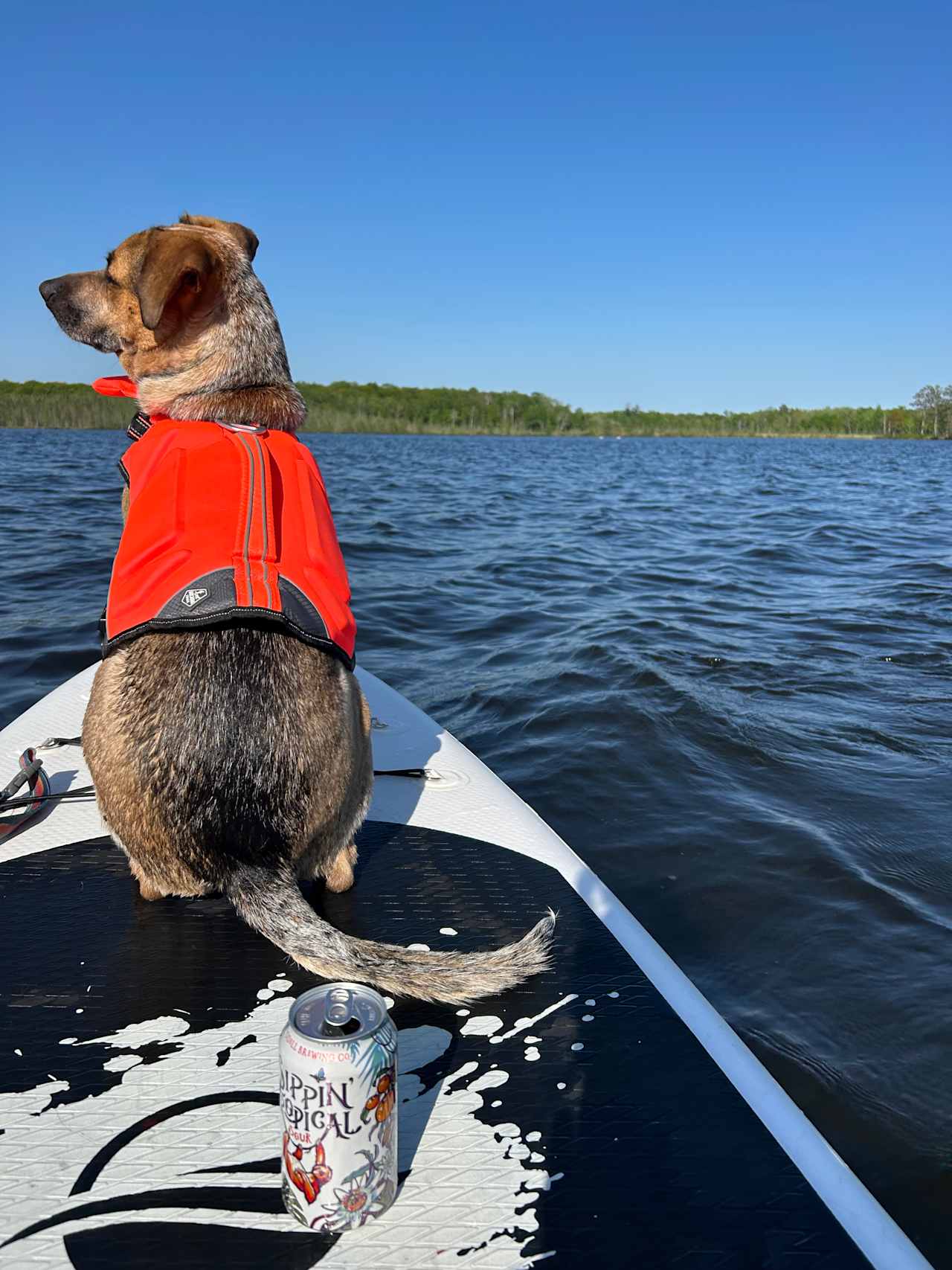 We had our own paddleboard 