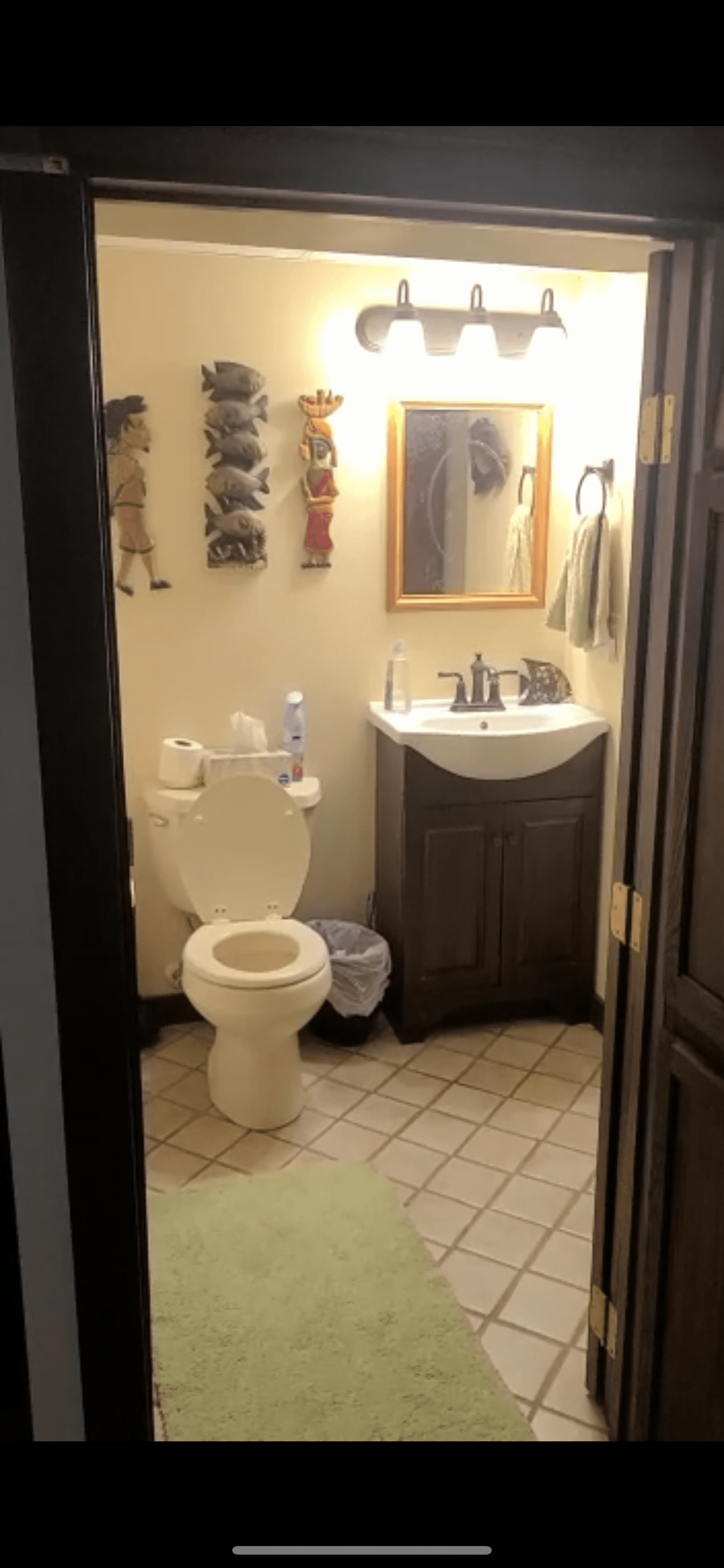 The bathroom. In the basement of the house. Nice shower with hot water. 