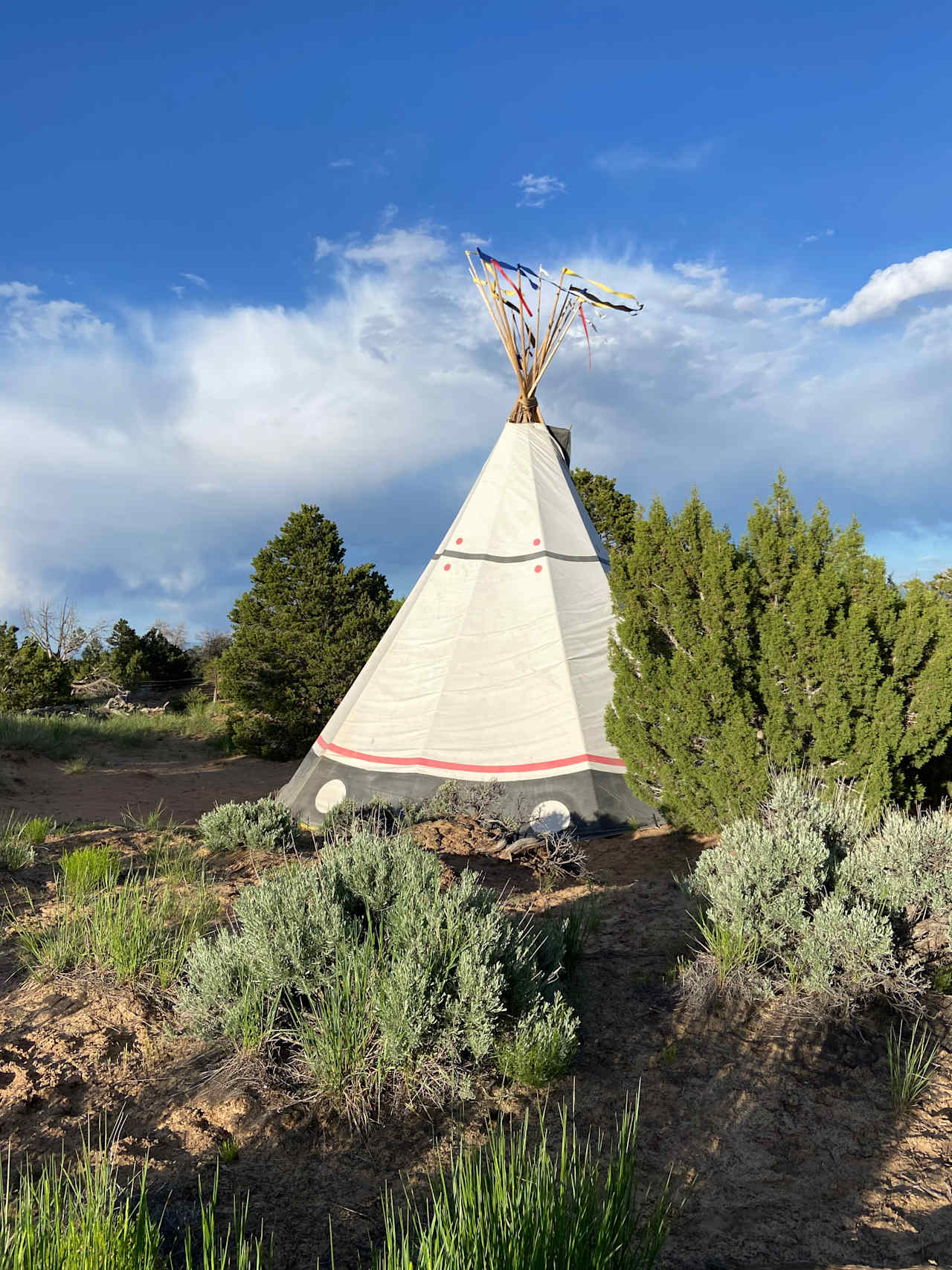 Tipi